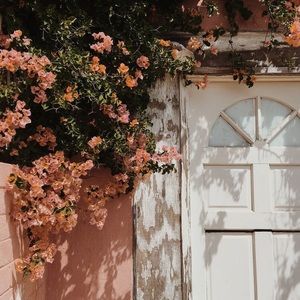 Meet your Posher, Flor